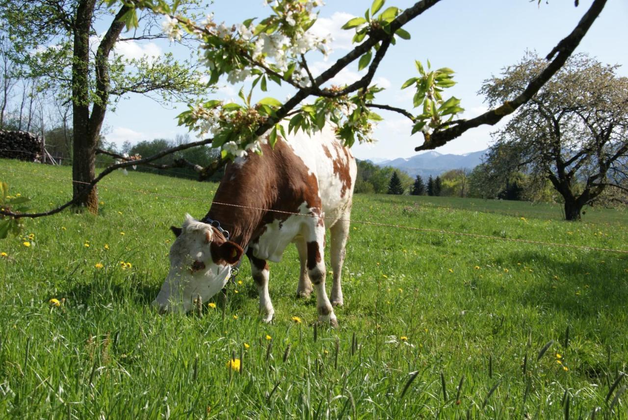 Ferienhof Edtmeier Zell am Moos Extérieur photo
