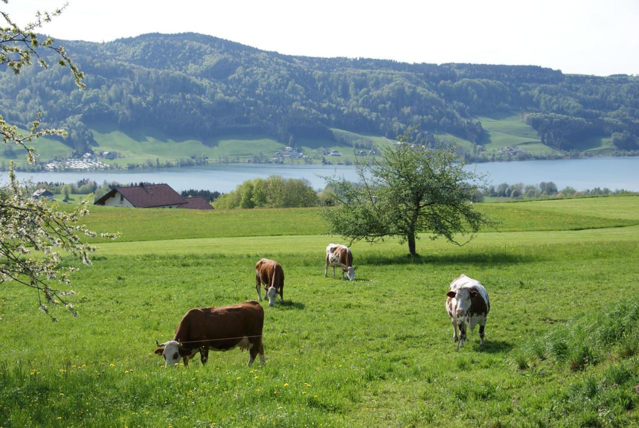 Ferienhof Edtmeier Zell am Moos Extérieur photo